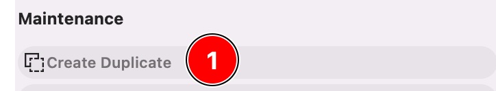 Create a Duplicate of this Node Type
